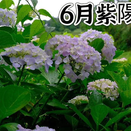 伊都山海渓 Itoshima 外观 照片