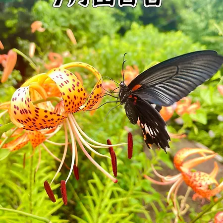 伊都山海渓 Itoshima 外观 照片