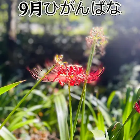 伊都山海渓 Itoshima 外观 照片