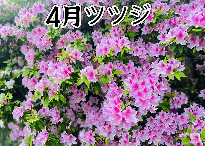 伊都山海渓