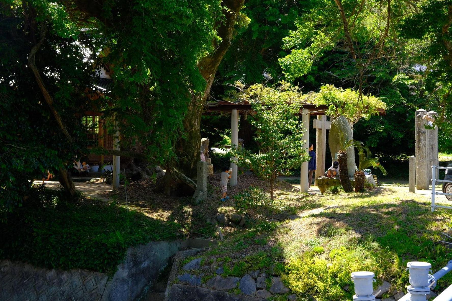 伊都山海渓 Itoshima