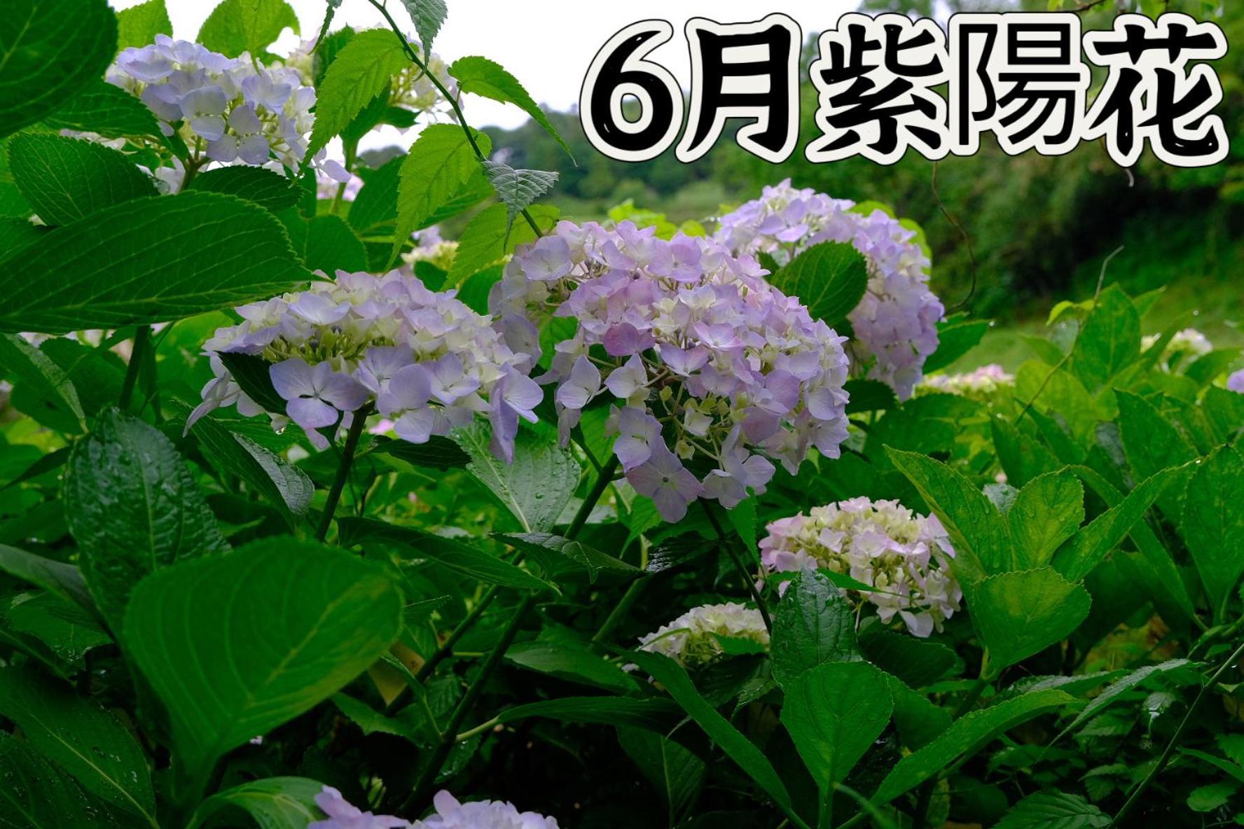 伊都山海渓