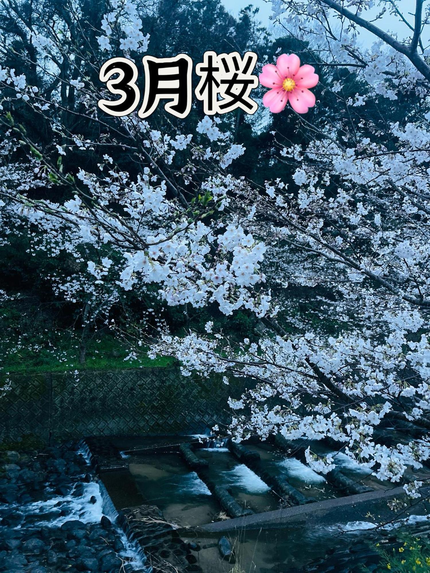 伊都山海渓 Villa Itoshima