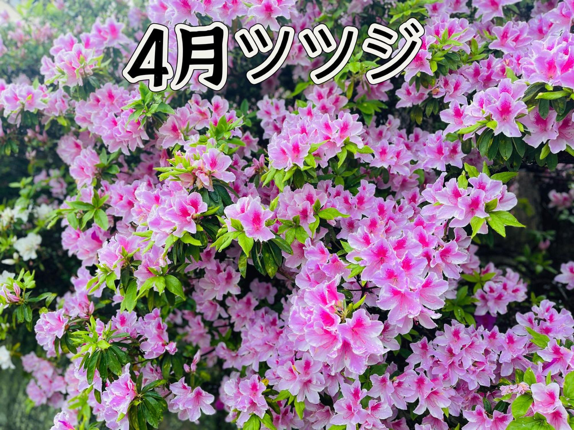 伊都山海渓